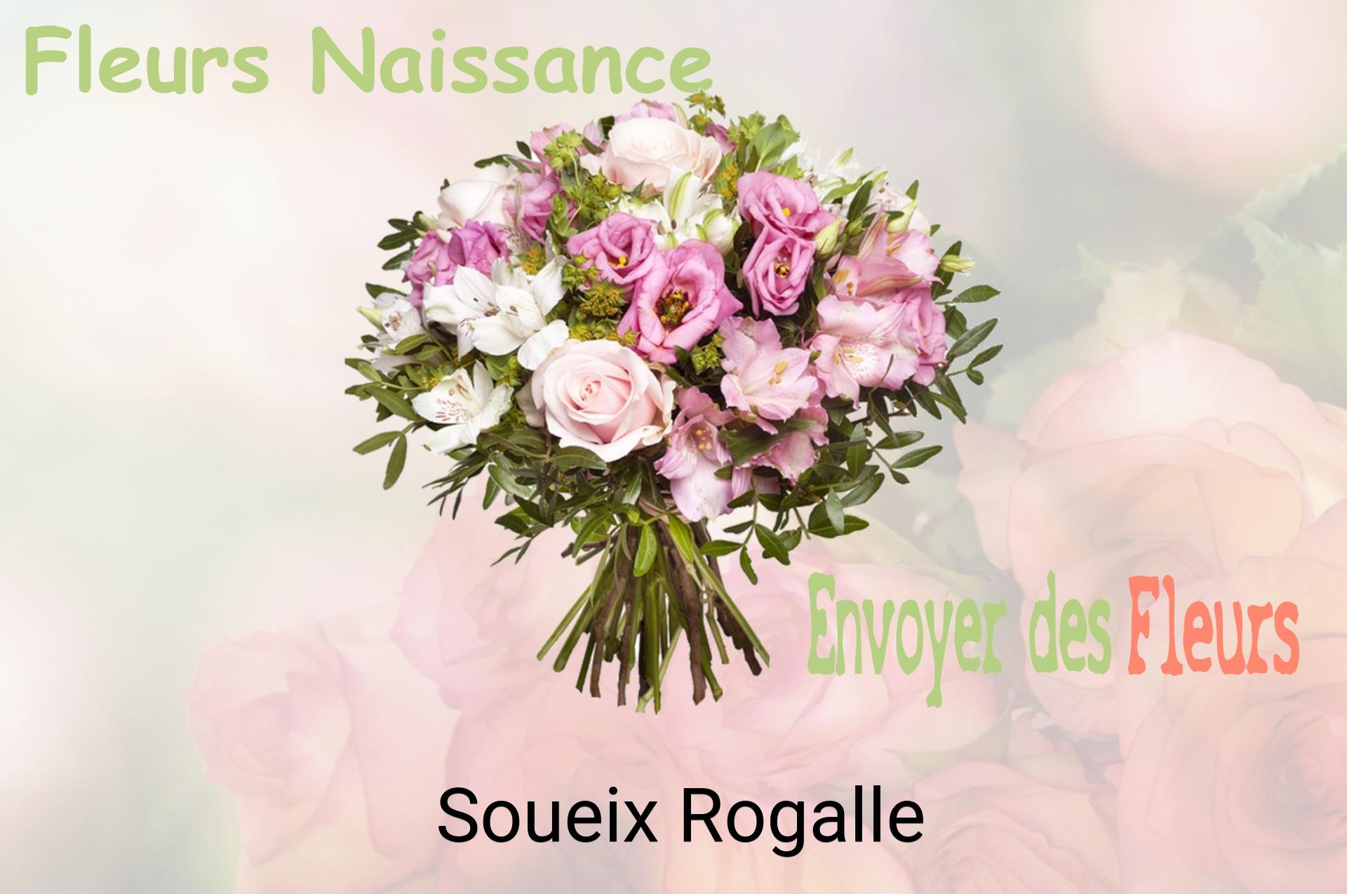 Bouquet de fleurs de naissance livré à Soueix-Rogalle