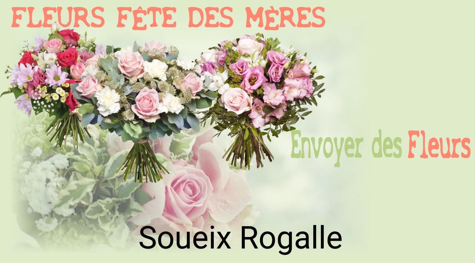 Bouquet de Fête des Mères livré à Soueix-Rogalle